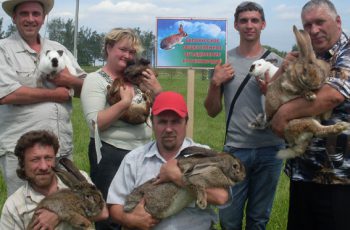 Животноводство в республике Беларусь