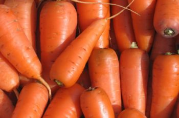 Мелкая морковь
