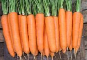 Морковь Дордонь