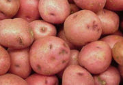 Розовые сорта картофеля
