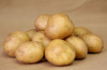 Описание сорта картофеля Удача