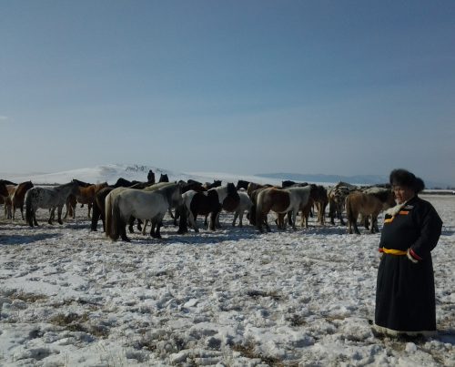 Животноводство в Казахстане