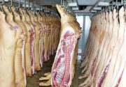 Виды продукции свиноводства