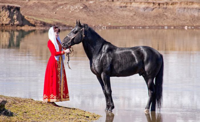 Карачевская порода лошадей