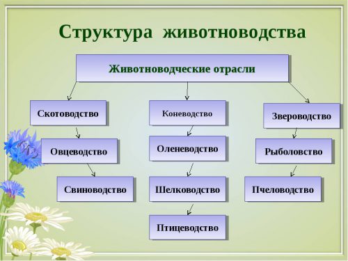 Структура животноводства РФ