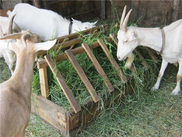 Кормушка для коз под сено своими руками: чертежи и фото