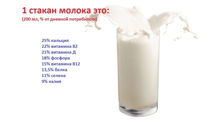 Cколько кипятить молоко из-под коровы?