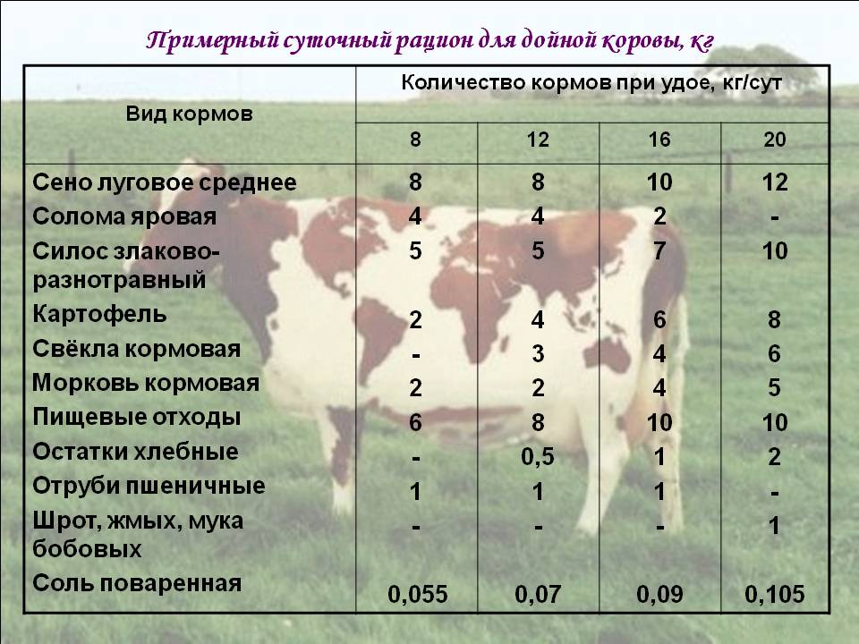 Сколько давать корове сена