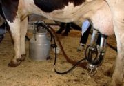 Доильный аппарат для коров своими руками