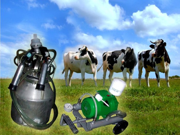 Доильные аппараты для коров