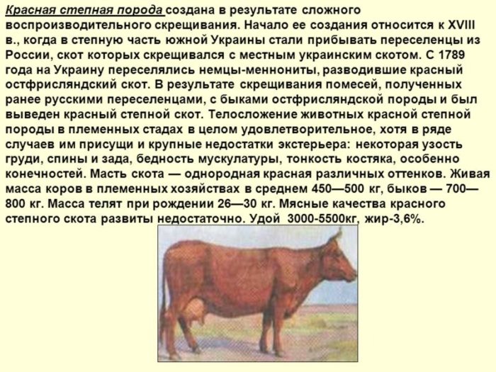 Породы коров Белоруссии