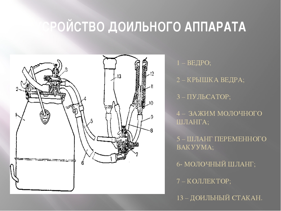 Схема коллектора доильного аппарата