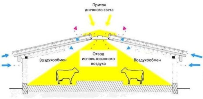 Воздухообмен в коровнике