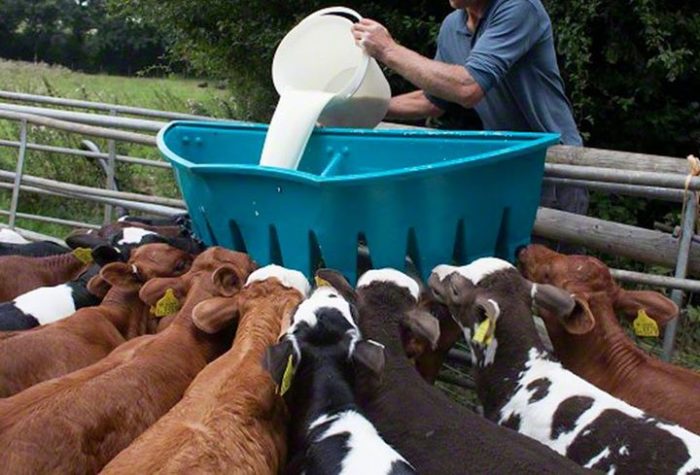 Заменитель молока коровьего
