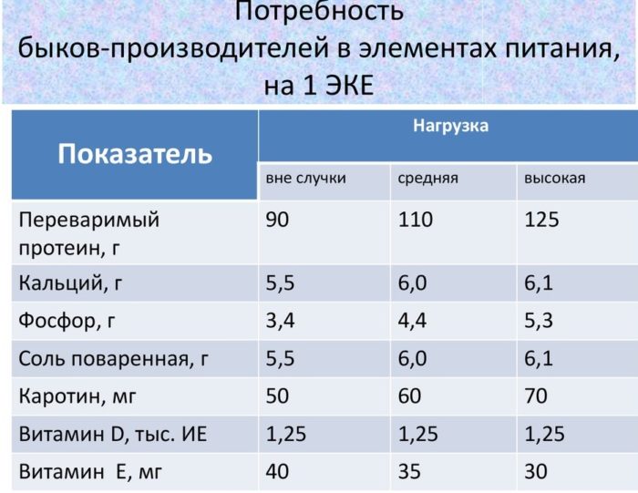 Бык осеменитель