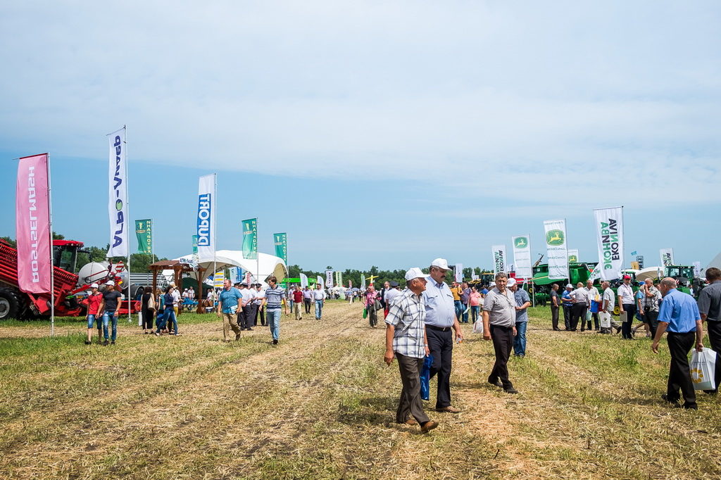 день воронежского поля