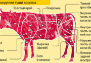 Части коровы