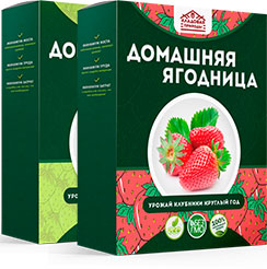 Цена Домашней Ягодницы