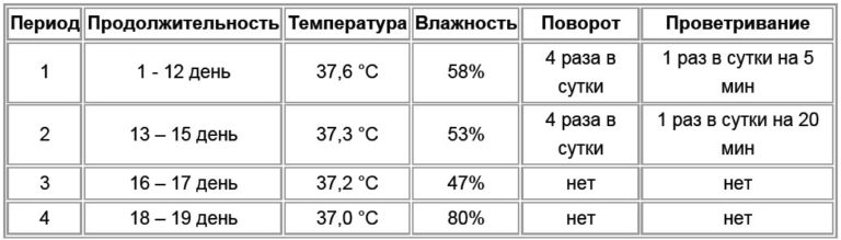 Схема температуры в инкубаторе для куриных яиц