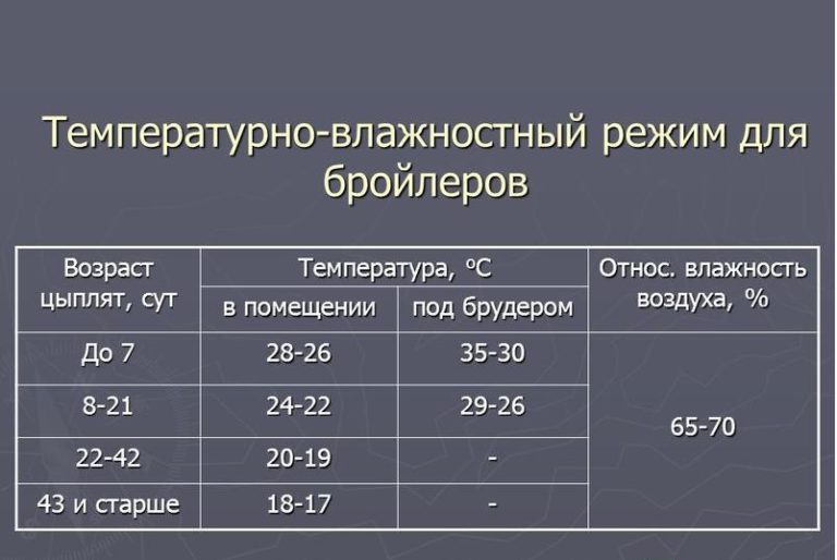 Температура антифриза норма