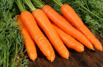 Морковь Берликум роял