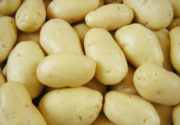 Белая картошка