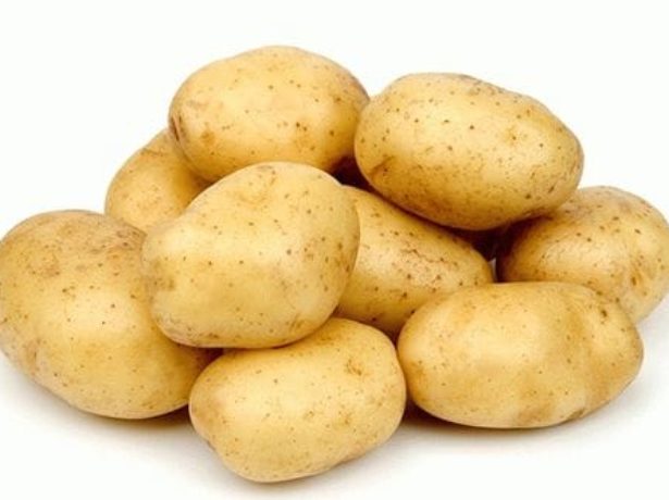 Картофель Венета