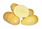 Картофель Агаве