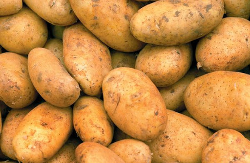 Картофель Бриз: характеристики сорта картошки