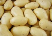 Описание сорта картофеля Импала