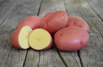 Описание картофеля Розара