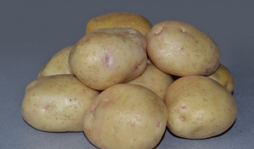 Невский картофель