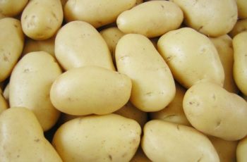 Описание сорта картофеля Тулеевский